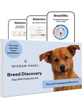 Dog DNA Test Kit - Discover 430+ Breeds & MDR1 Health Screening, Pet Ancestry